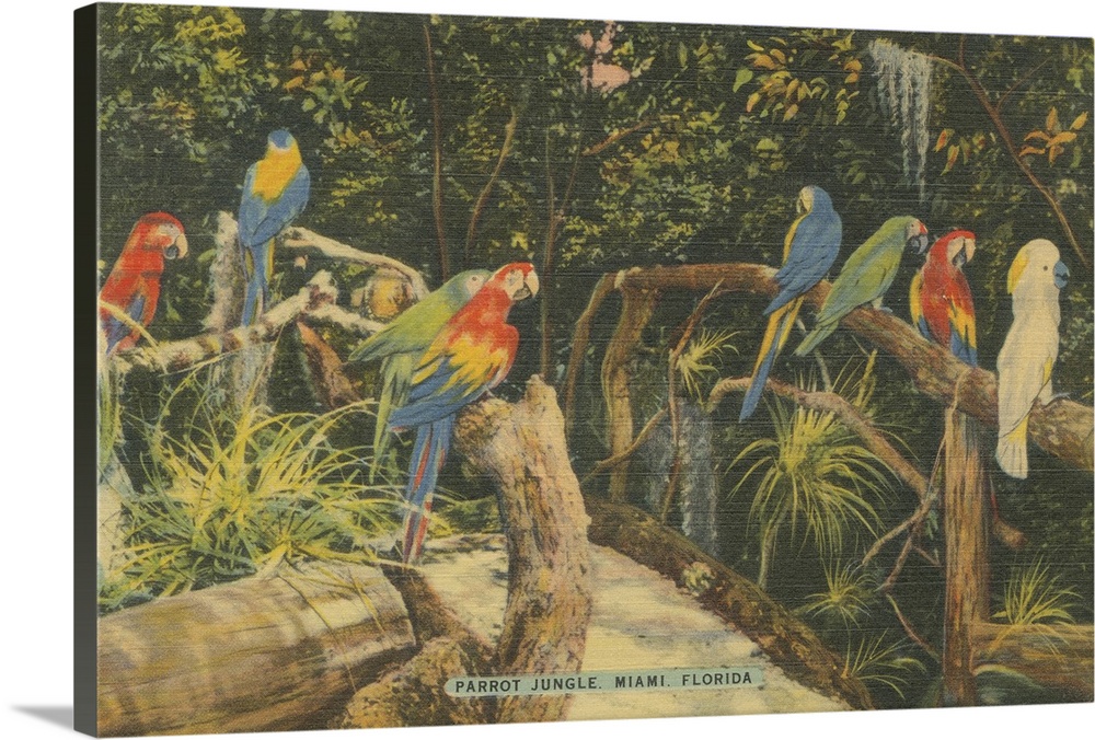 Florida Postcard II