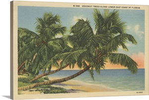 Florida Postcard III image thumbnail