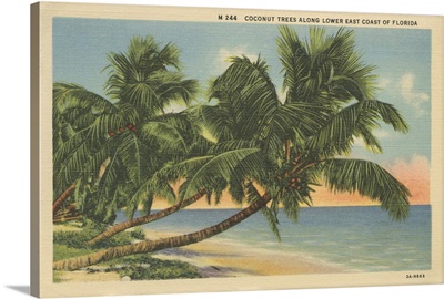 Florida Postcard III
