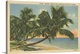 image thumbnail of Florida Postcard III