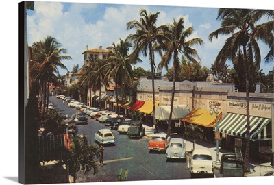 Florida Postcard IV