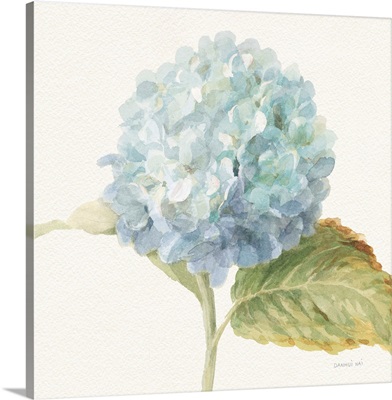 Floursack Florals V - Blue Hydrangea Crop