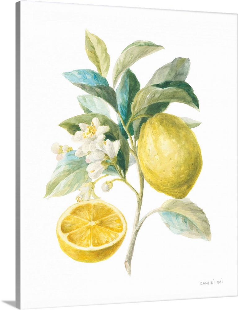 Floursack Lemon III on White