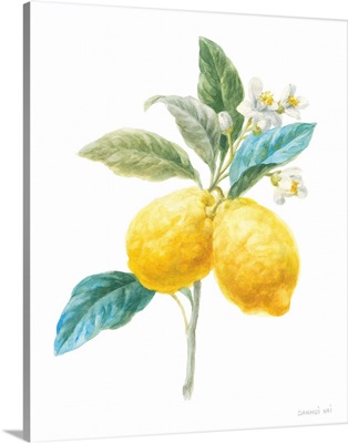 Floursack Lemon IV on White