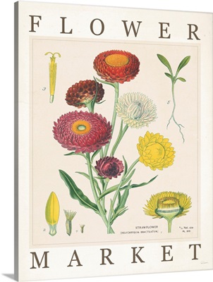 Flower Market Chart I