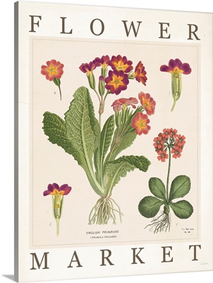 Flower Market Chart II