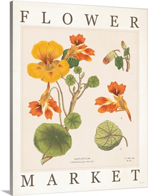 Flower Market Chart III