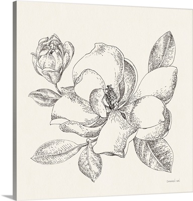 Flower Sketches II