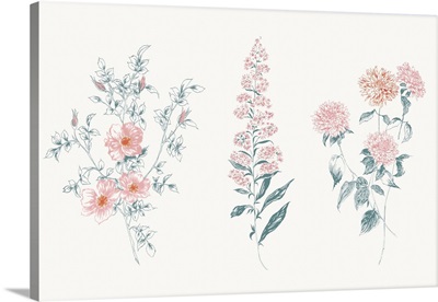 Flowers on White IX Contemporary Bright