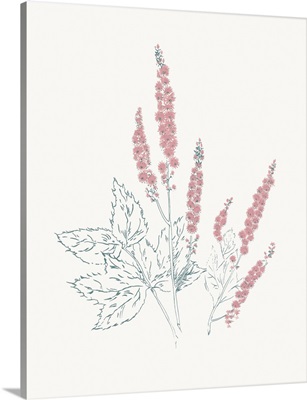 Flowers on White VII Contemporary Bright