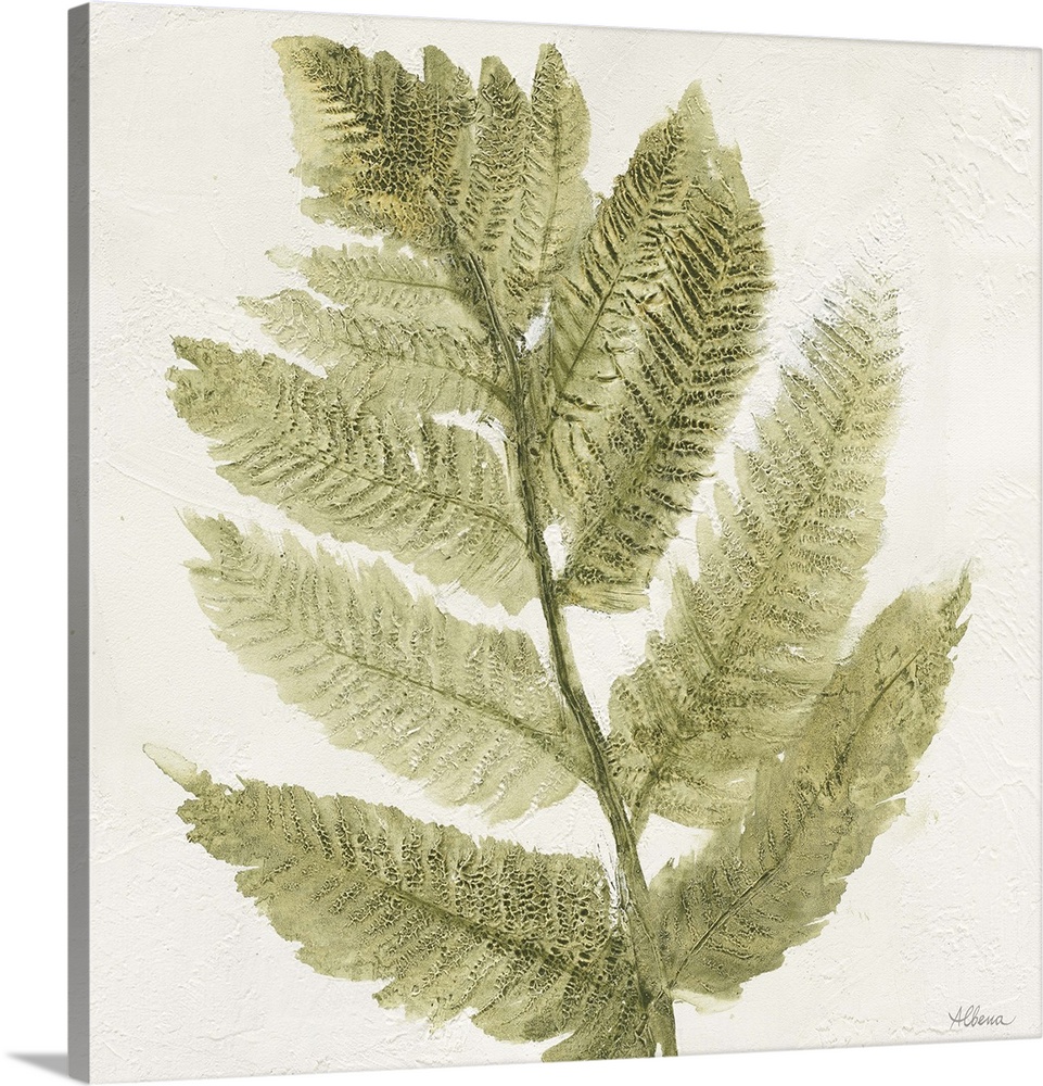 Textured painting of a fern branch on a white, square background.