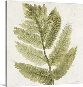 Forest Ferns I image thumbnail