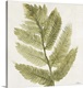 image thumbnail of Textured painting of a fern branch on a white, square background.
