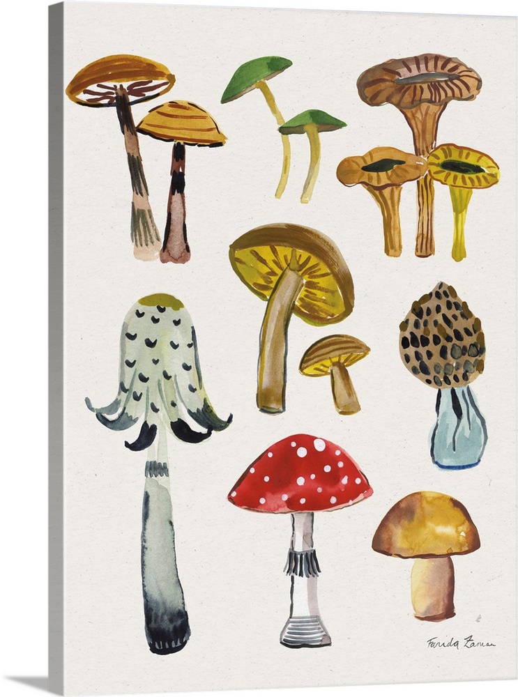 Forest Mushrooms II