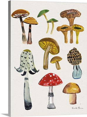 Forest Mushrooms II