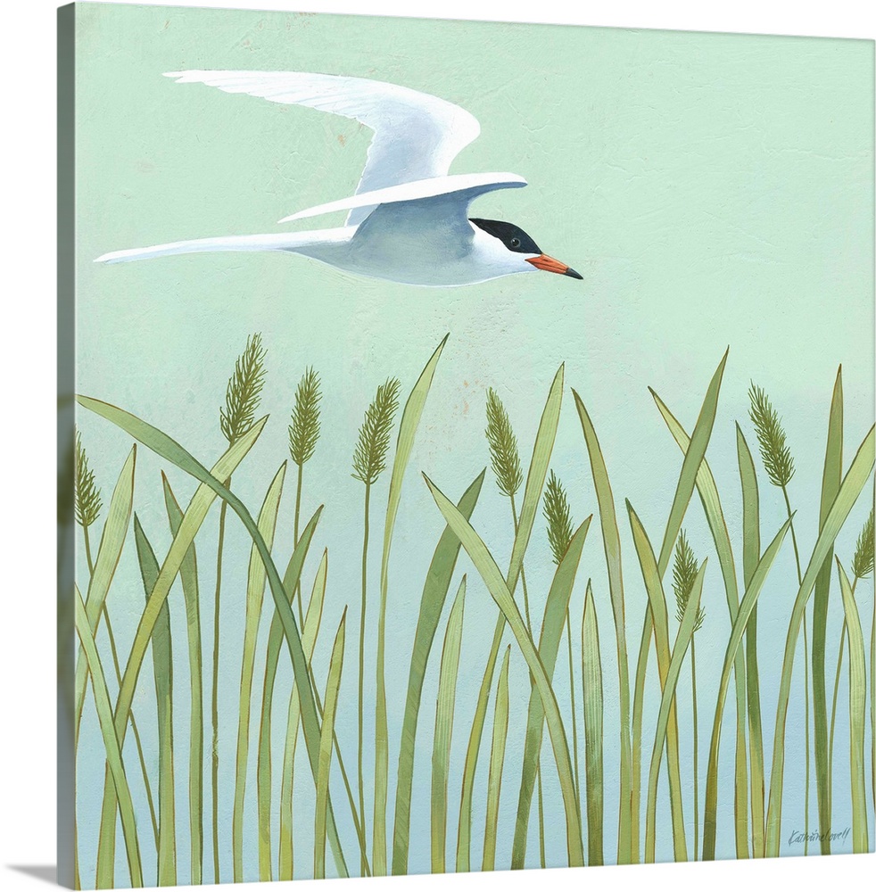 Square painting of a Tern seabird in flight over long sea grass and cattails on a teal background.
