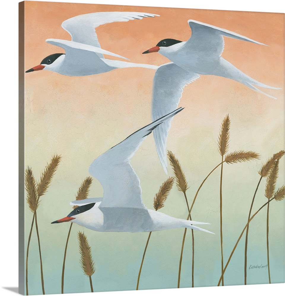 Square painting of three sea birds in flight over tall sea grass with an orange, yellow, green, and blue fading sky.