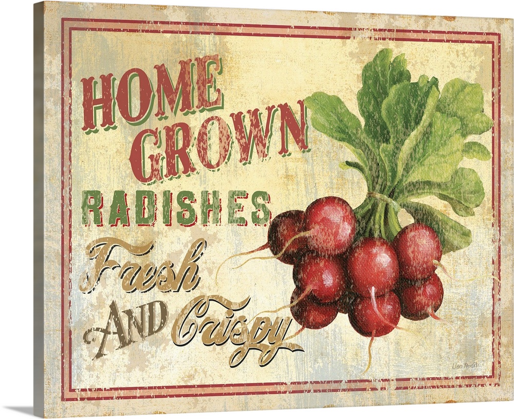 Contemporary artwork of a vintage looking sign with radishes to the right of the image and text to the left.