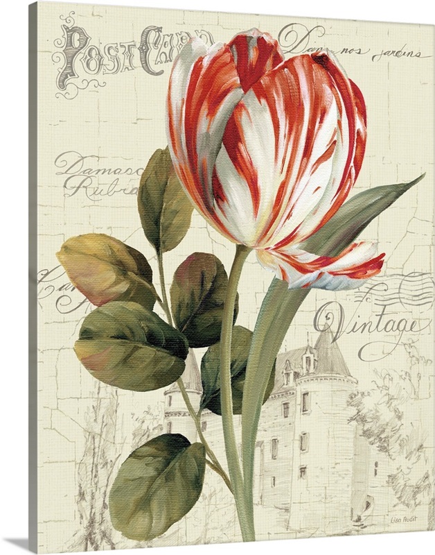 Garden View II Red Tulip Wall Art, Canvas Prints, Framed Prints, Wall