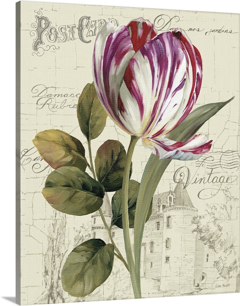 A tulip is largely painted against an antique post card with a large stone house in the background.