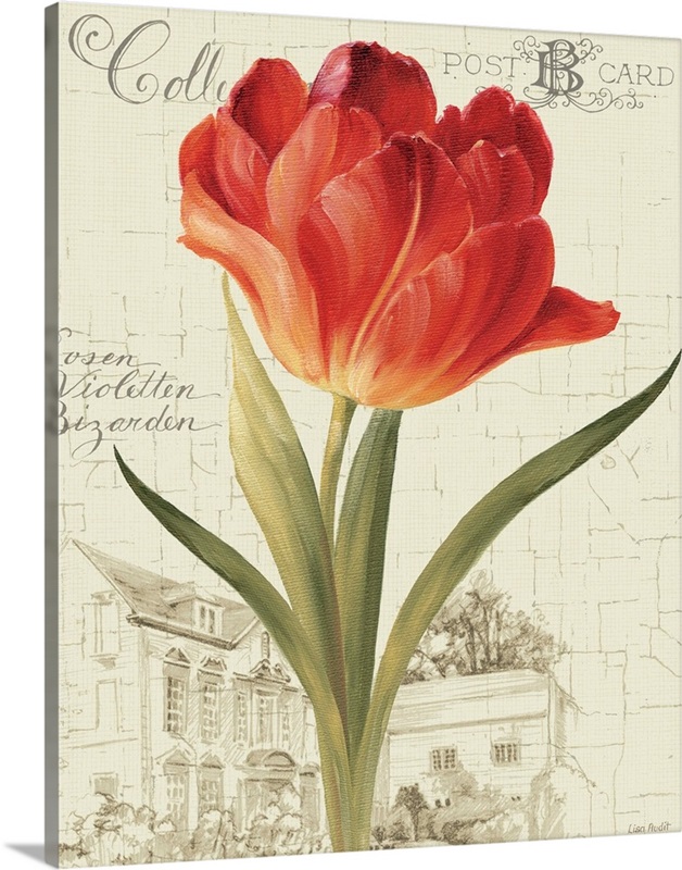 Garden View III Red Tulip Wall Art, Canvas Prints, Framed Prints, Wall