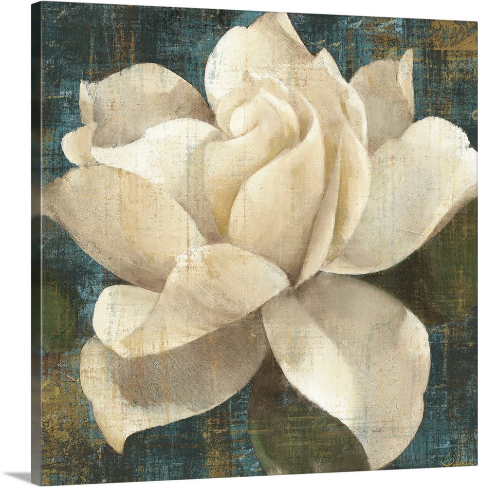 Contemporary drawing of a large cream color gardenia blossom on a textured dark background.