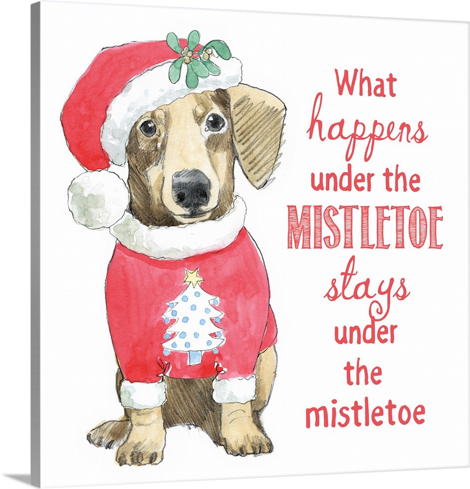 Square watercolor painting of a Dachshund wearing a Christmas tree sweater with a Santa hat that is decorated with mistlet...