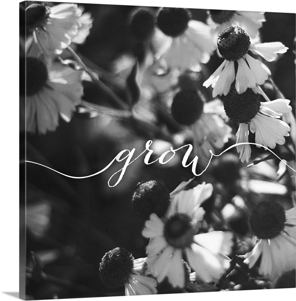 Handlettering in white across a black and white photograph of flowers.