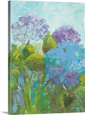 Happy Hydrangeas