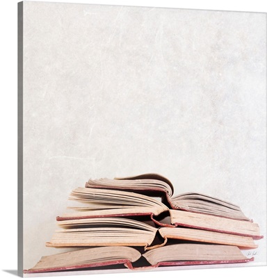Heaven In Books
