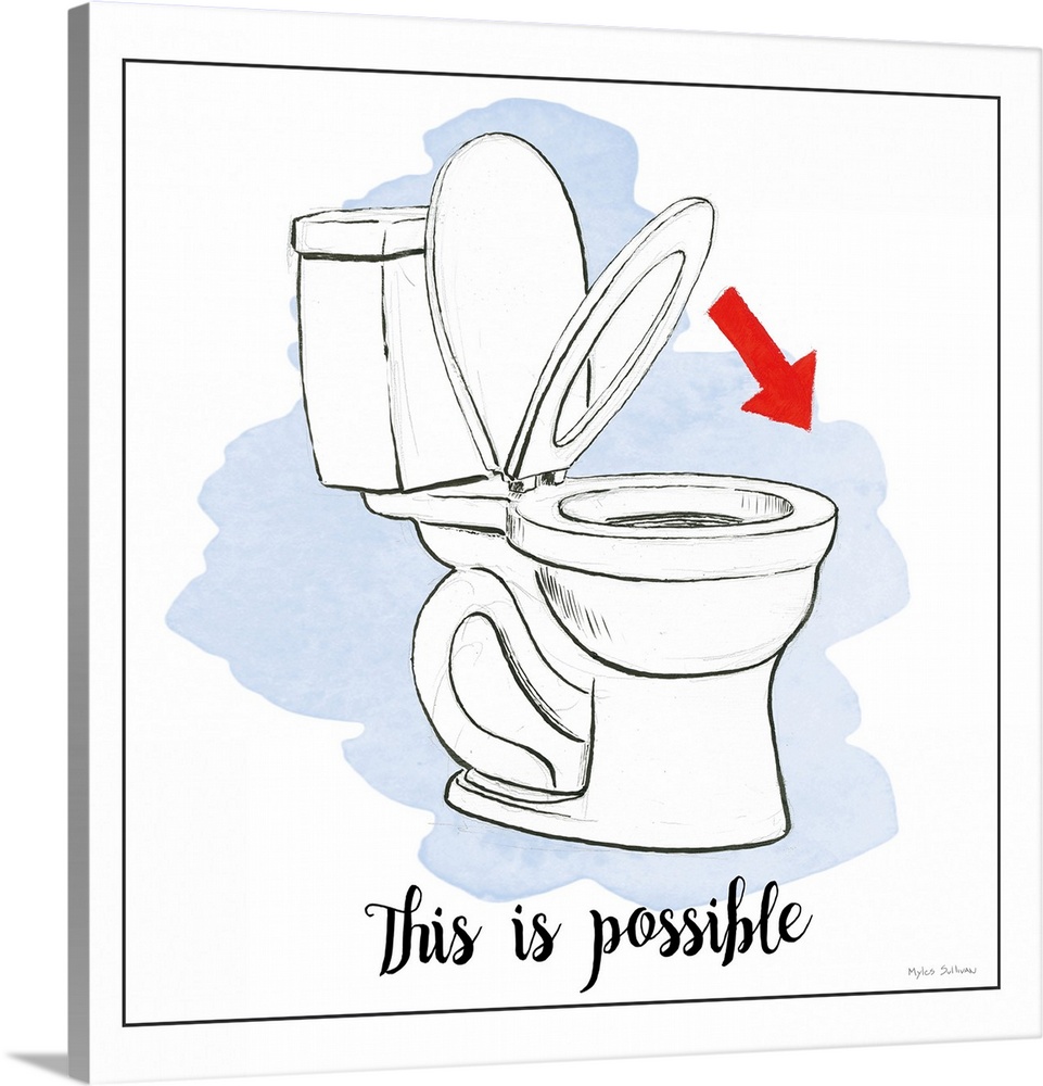 A humorous design about home improvement featuring a toilet and the text 'This Is Possible'.