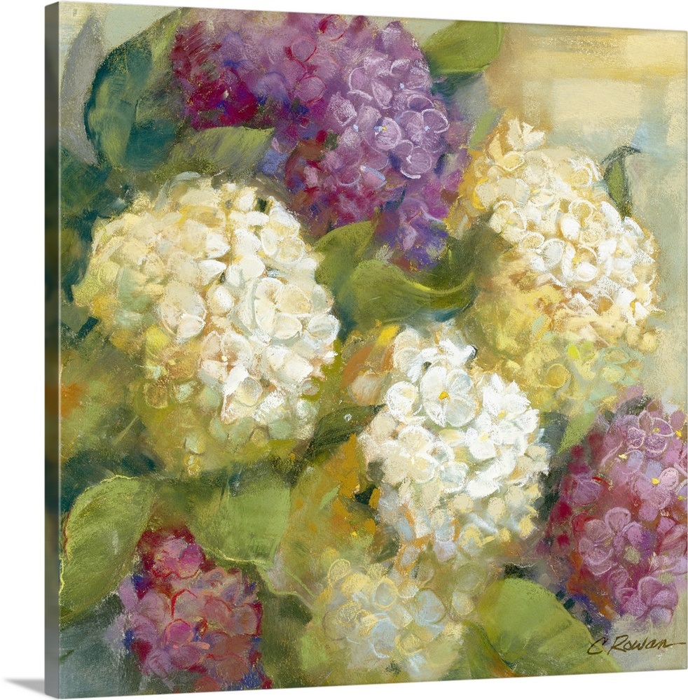 Hydrangea Delight II Wall Art, Canvas Prints, Framed Prints, Wall Peels ...