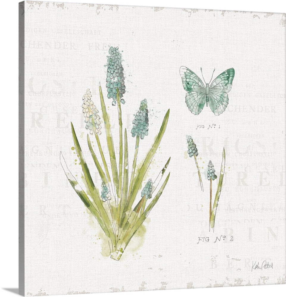Square watercolor painting of a blue and green butterfly and flowers on a white textured background with faint text.