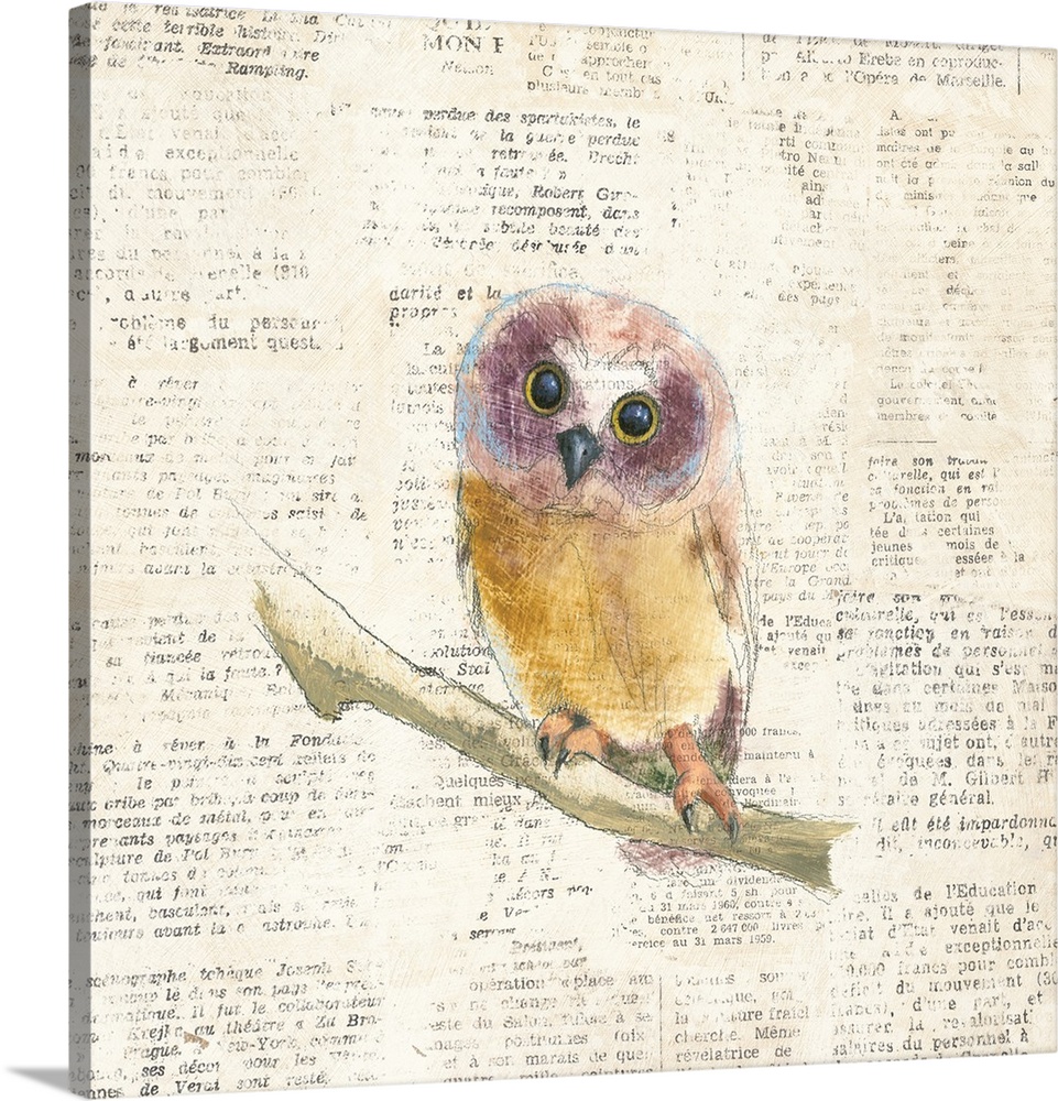 Artwork of a little owl against a distressed newsprint background.