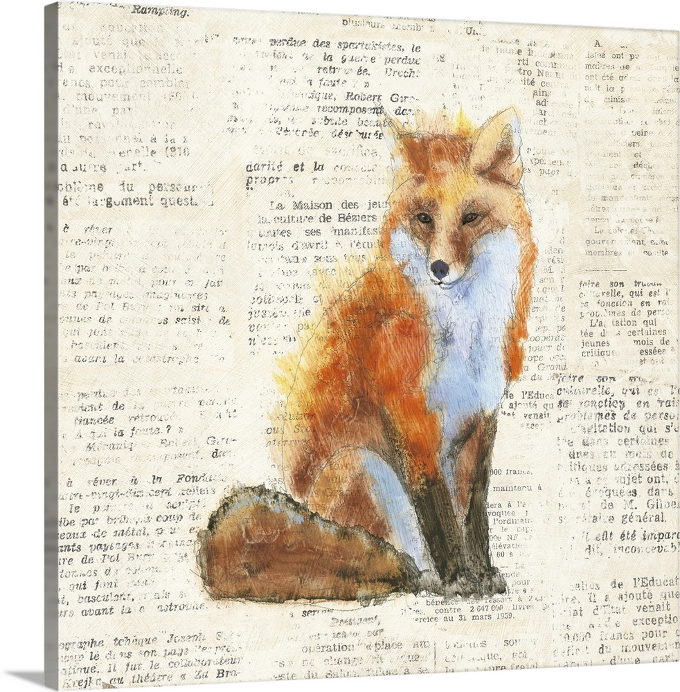 Artwork of a red fox against a distressed newsprint background.