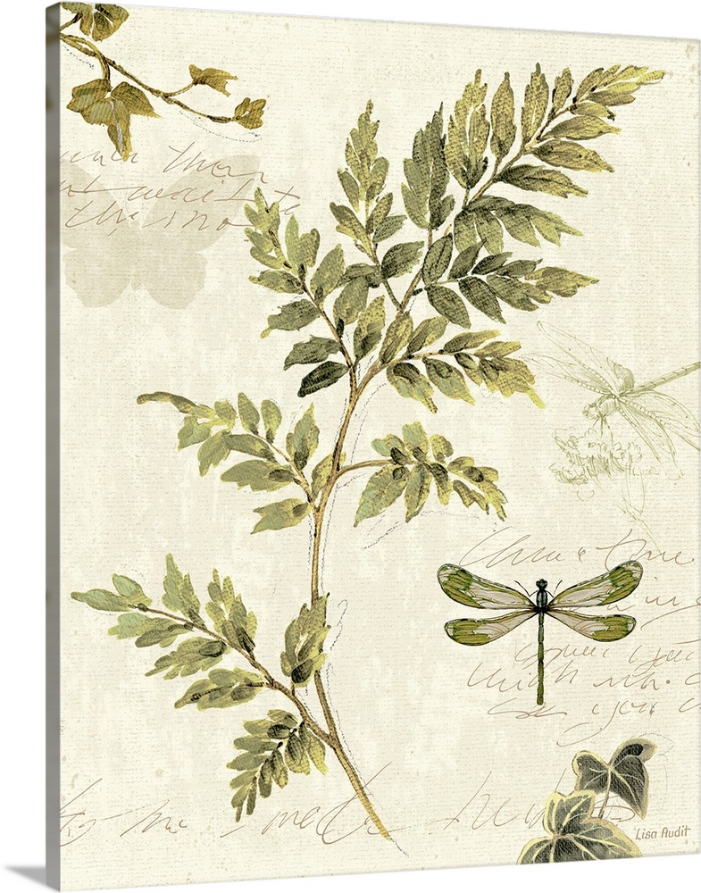 Antique-style print of a pressed fern on a piece of parchment with faint images of dragonflies and handwriting.