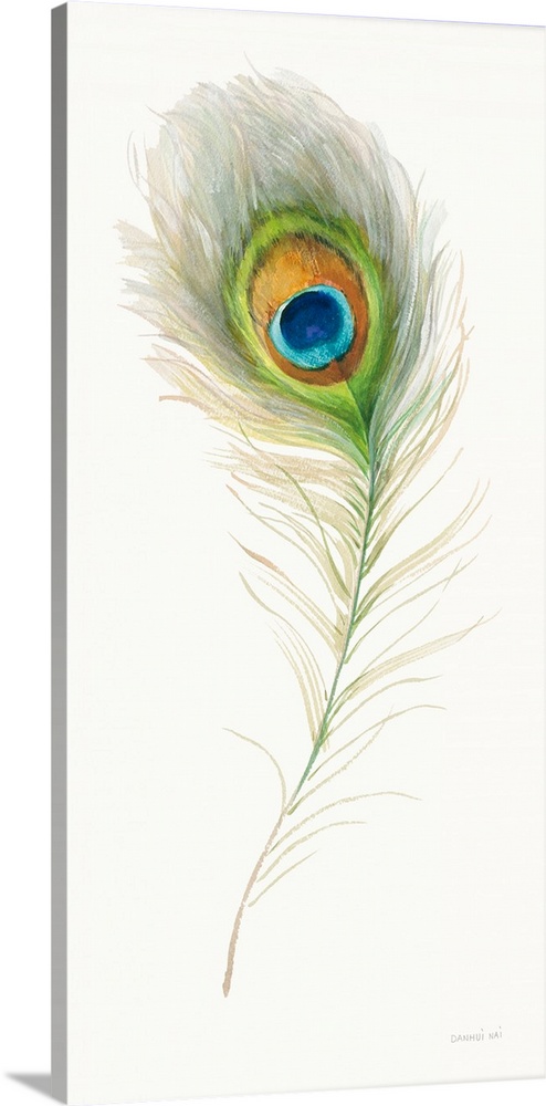 Decorative artwork featuring a delicate peacock feather over a white background.