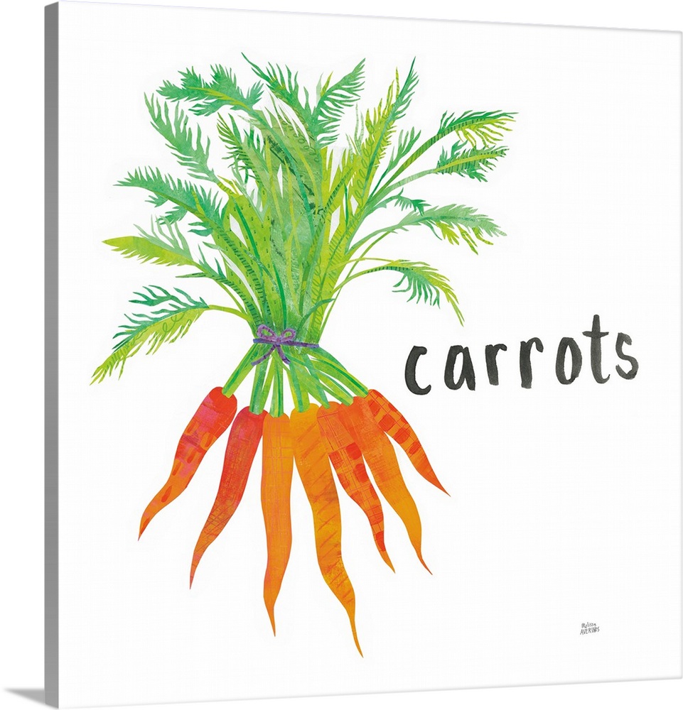 Square contemporary design of carrots with a collage style quality.