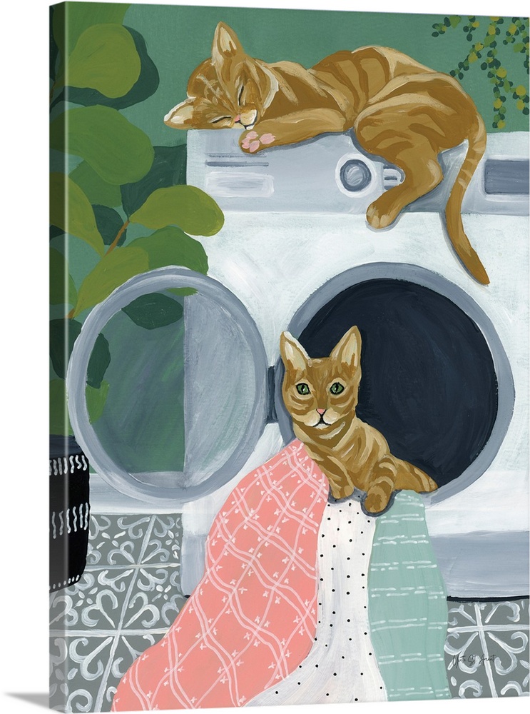 Laundry Cats