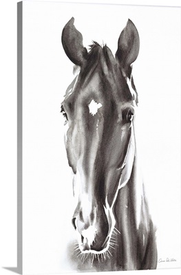 Le Cheval Noir