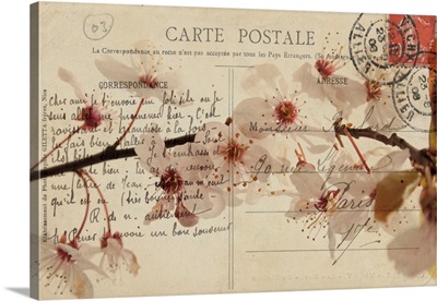 Letters To My Love I