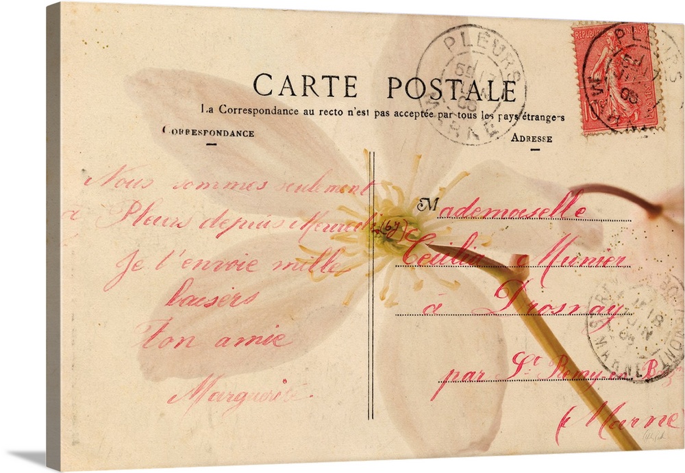 Letters To My Love II