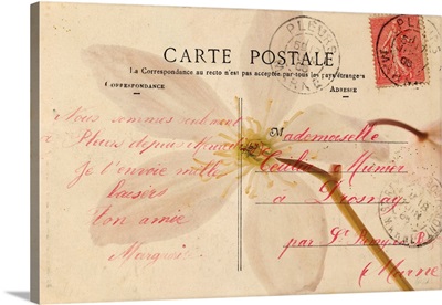 Letters To My Love II