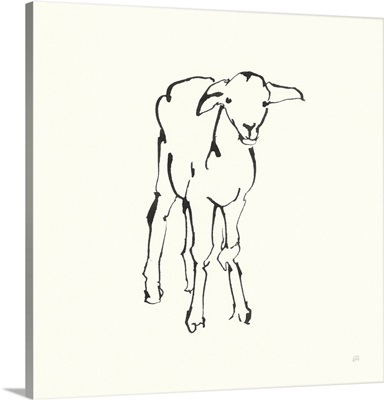 Line Lamb