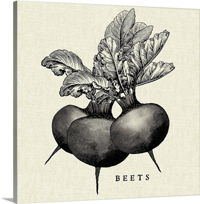 Linen Vegetable BW Sketch Beets
