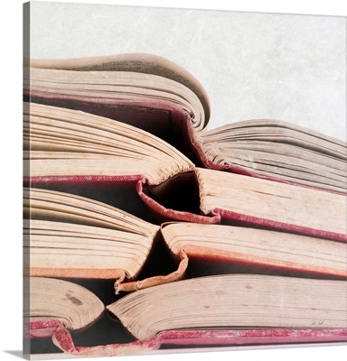 Livres Rouge