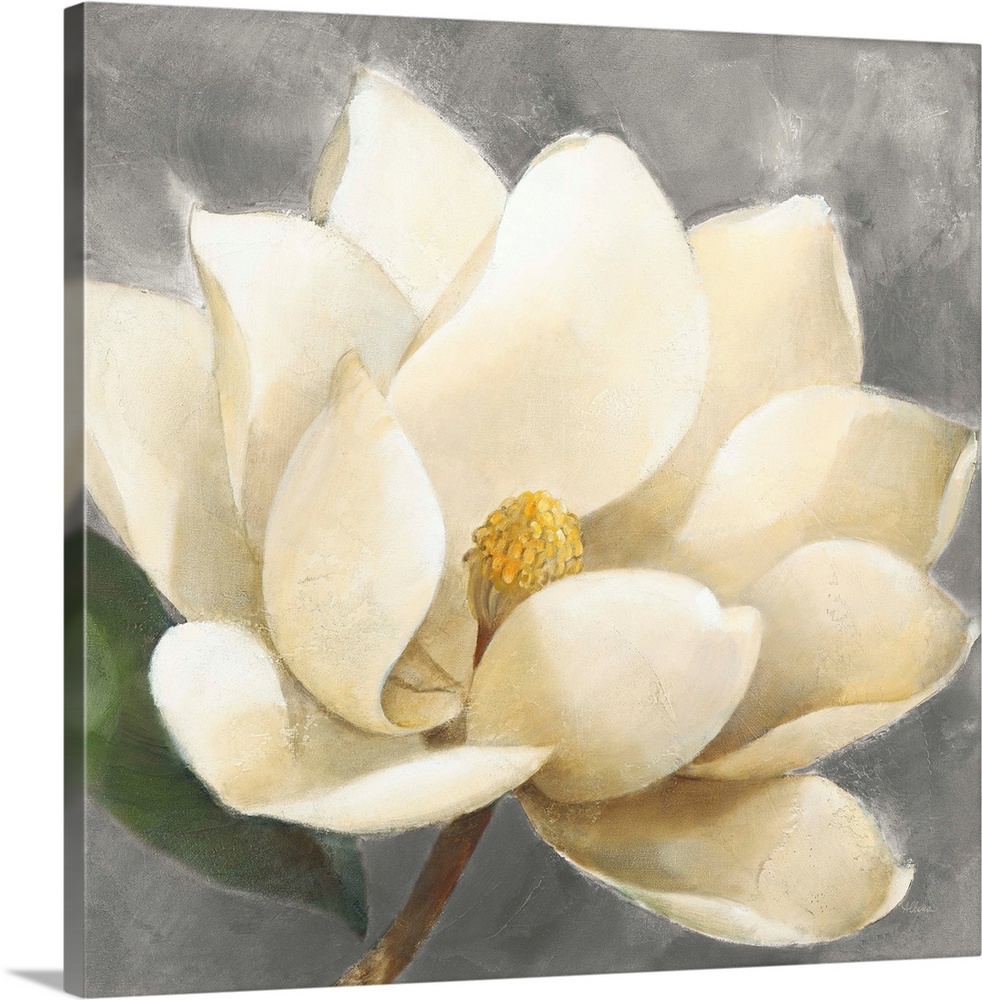 Contemporary painting of a beautiful magnolia flower on a gray, square background.