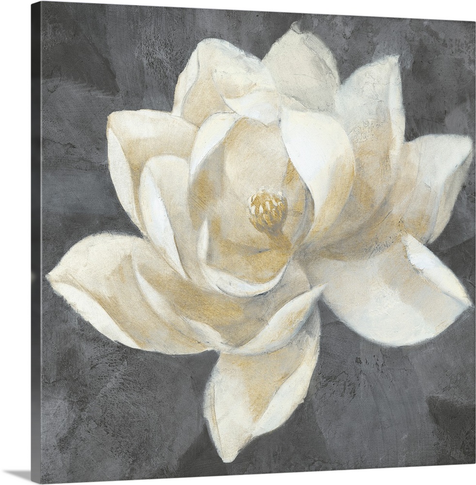Contemporary artwork of a white magnolia against a dark gray background.