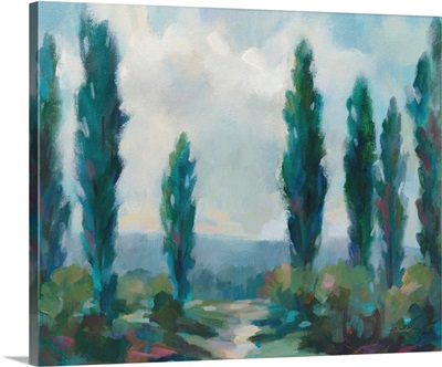 Majestic Poplars