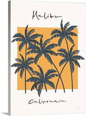 Malibu Retro Vibe